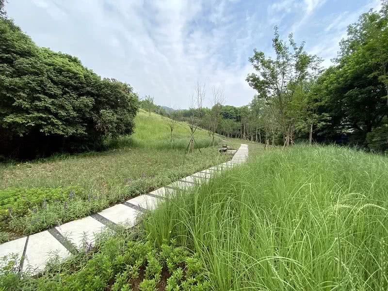 環境監測站節省成本、提**率