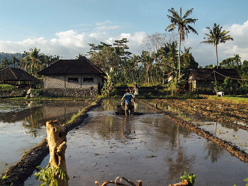 土壤水分測定儀檢測土壤需水量