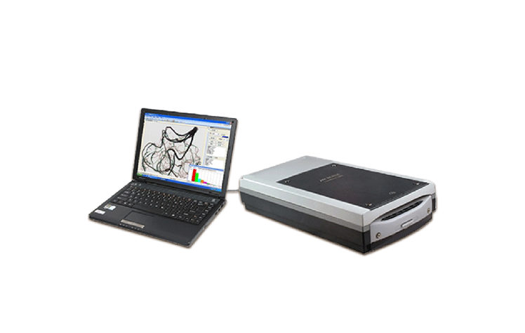 植物根系圖像分析儀，用于根系研究