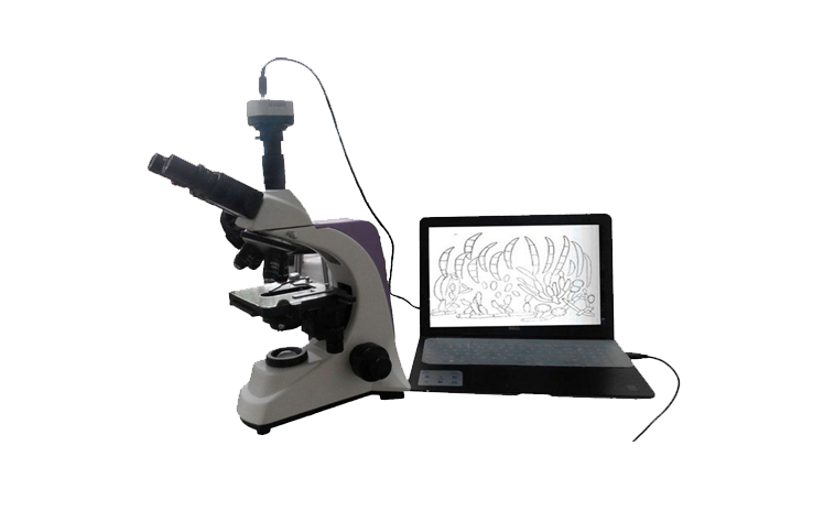 植物病蟲(chóng)害檢測(cè)設(shè)備