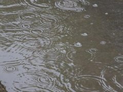 雨量監(jiān)測(cè)儀，提供雨量原始數(shù)據(jù)