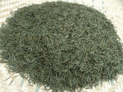 食品重金屬快速檢測儀，茶葉重金屬銅檢測儀