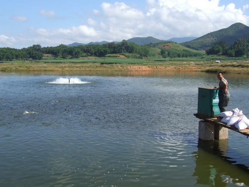 水產(chǎn)養(yǎng)殖檢測(cè)儀，為水產(chǎn)提供優(yōu)良的生長環(huán)境