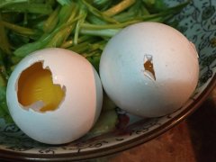 雞蛋中會(huì)含有哪些藥物殘留？