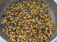 真菌毒素對(duì)人和動(dòng)物有極大的危害！