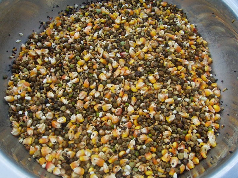 真菌毒素對人和動物有極大的危害