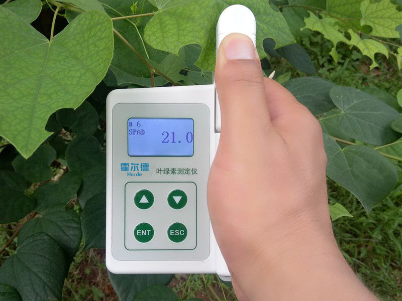 葉綠素含量測量儀，可用于植物施肥的依據